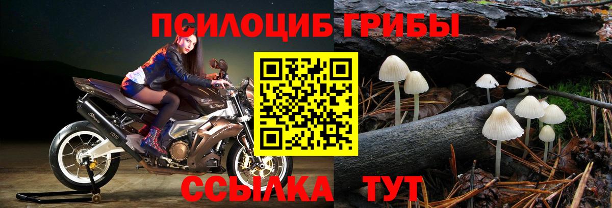 ГАШИШ Магадан